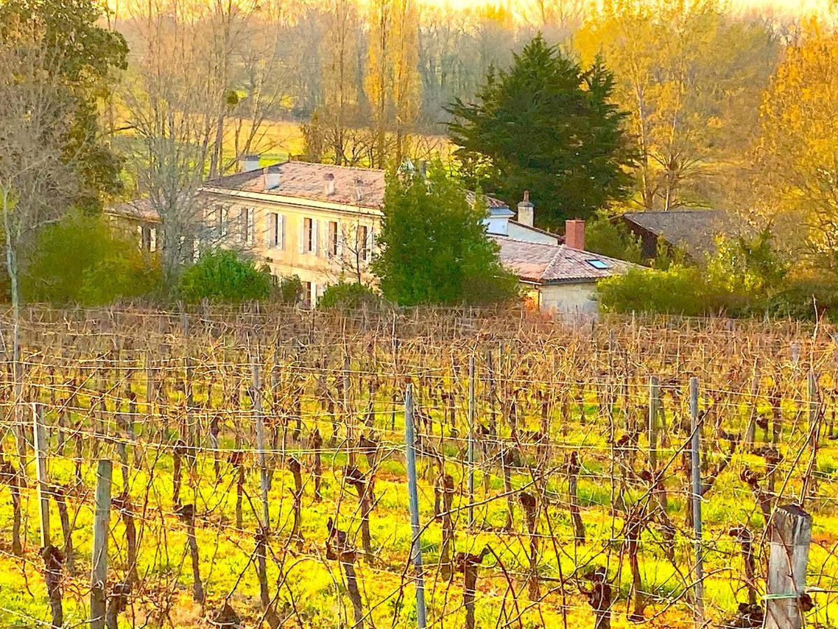 Вилла Fabuleux - Domaine Du Moulin D'Andraut Bordeaux-Chevaux-Golf-St Emilion Монтюссан Экстерьер фото