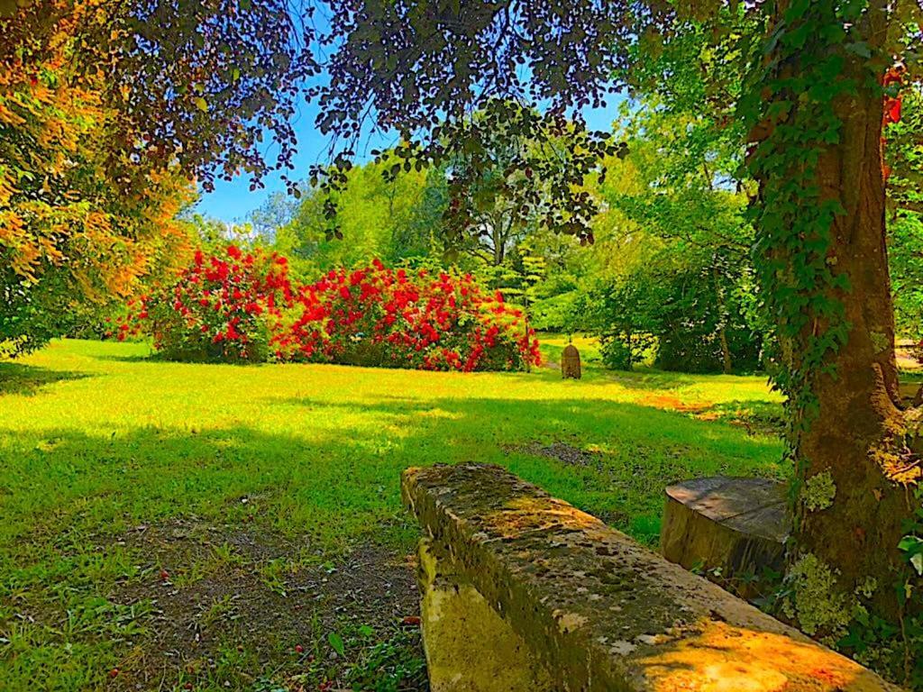 Вилла Fabuleux - Domaine Du Moulin D'Andraut Bordeaux-Chevaux-Golf-St Emilion Монтюссан Экстерьер фото