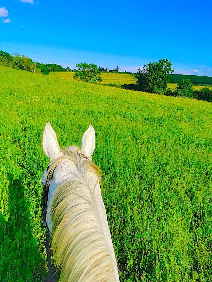 Вилла Fabuleux - Domaine Du Moulin D'Andraut Bordeaux-Chevaux-Golf-St Emilion Монтюссан Экстерьер фото